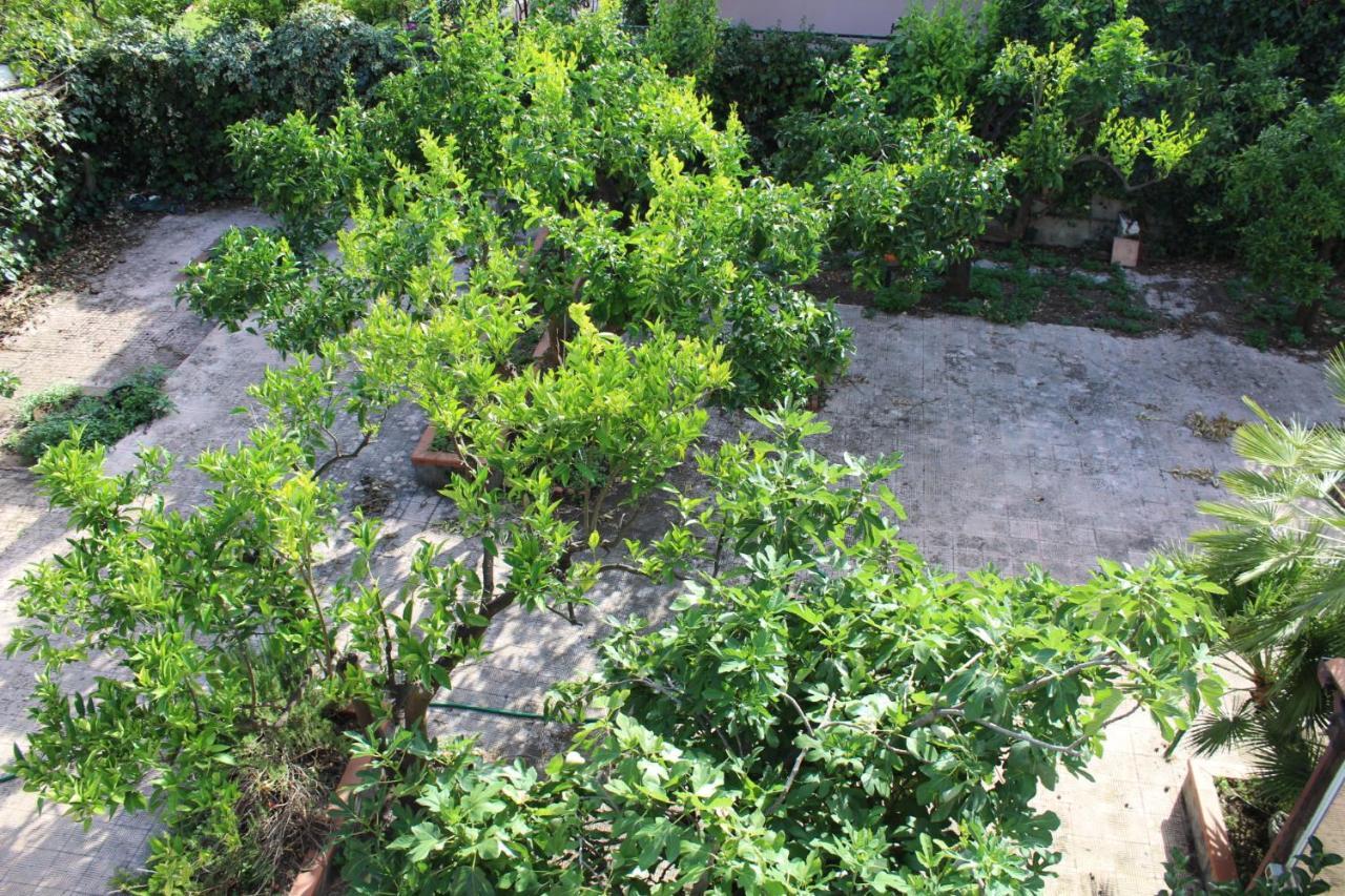 Greenhouse Mascalucia Exterior foto