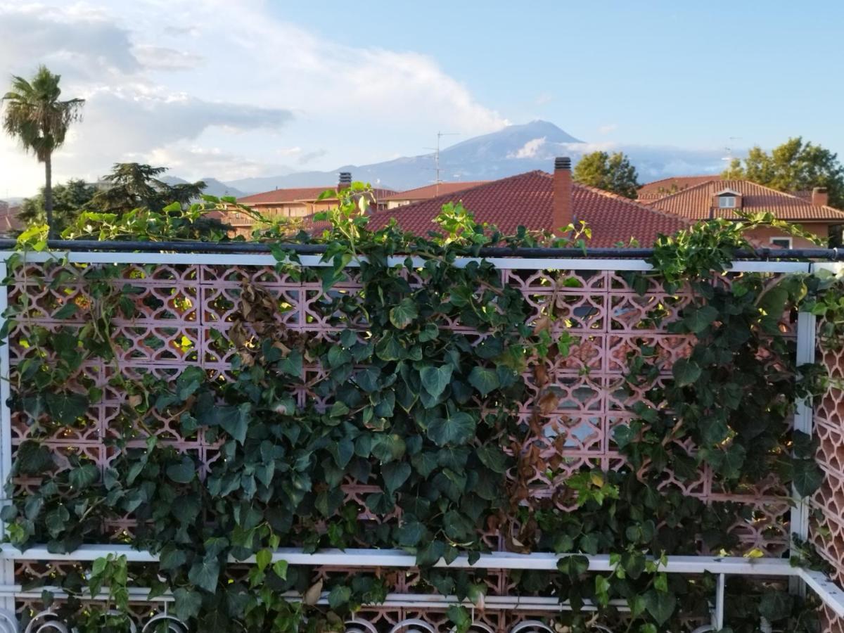 Greenhouse Mascalucia Exterior foto